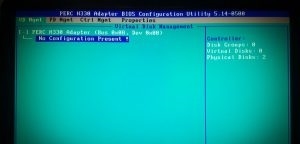 DELL服务器DELL PERC H330 阵列卡做Raid 图示